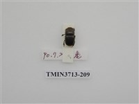 藏品(金龜子科)的圖片